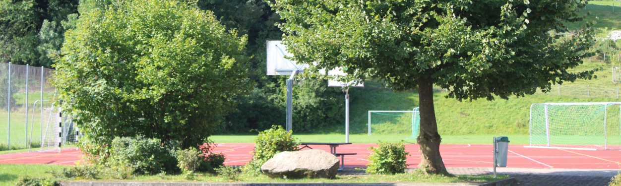 Schule Thierachern